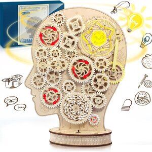 3D Wooden Puzzles for Adults / Project Science Gift for Teens / Arts and Crafts